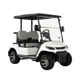 Megawheels LVT Electric Golf Cart Buggy 2-Seater Experience