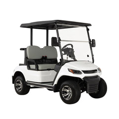 Megawheels LVT Electric Golf Cart Buggy 2-Seater Experience