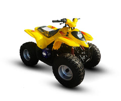 UNILLI 100CC ATV Quad Bike