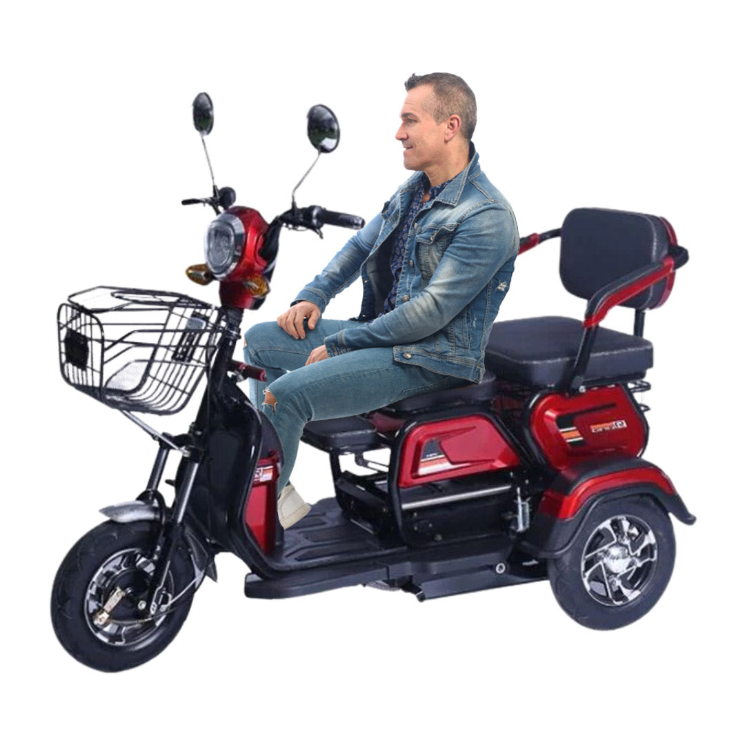 foldable electric scooter