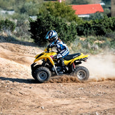 Electric and Kick-start