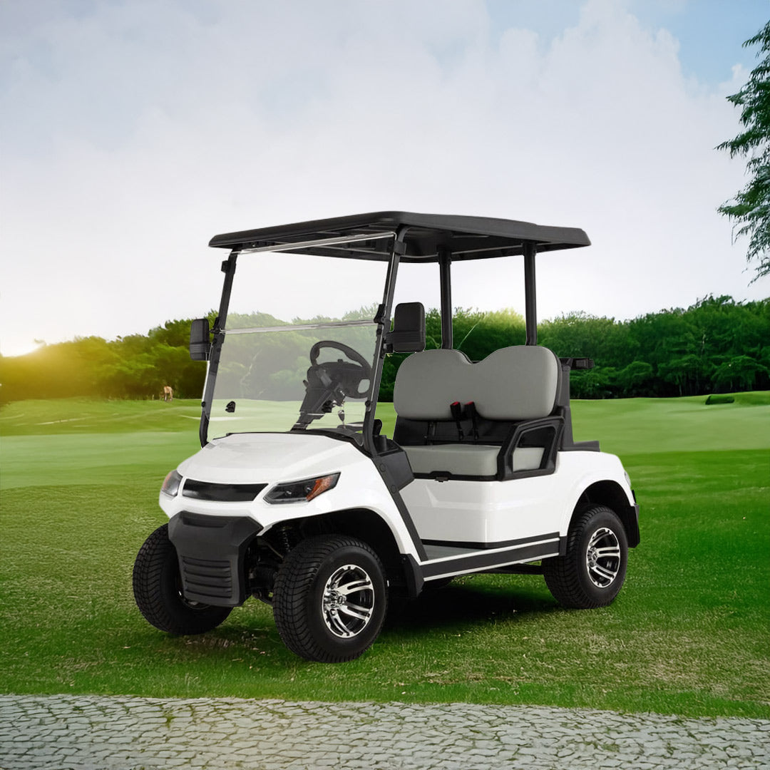 Megawheels LVT Electric Golf Cart Buggy 2-Seater Experience