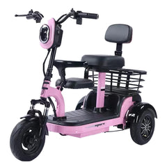 Cruzer Electric parent child Tricycle