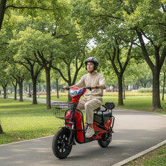 A person rides on an Electric Scooter M1 Powerful Electric Delivery Bike