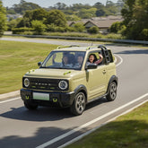 Best Electric Car Geely GEOME for Family