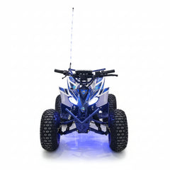 48 v High powered Electric atv with light poles and bluetooth