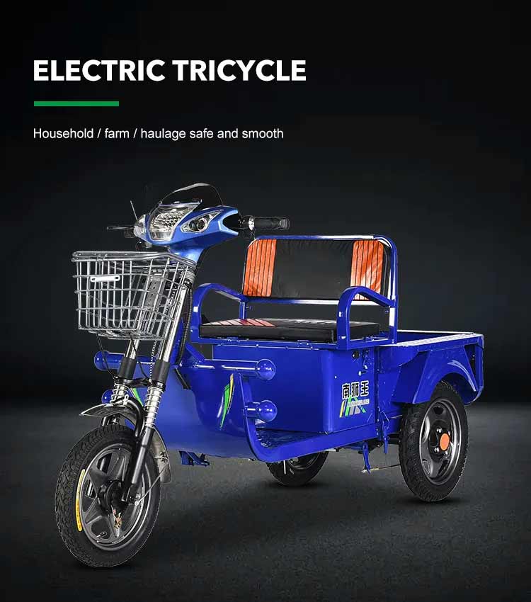 Megawheels 800w Electric  Cargo Motorcycles Tricycle 1.2 Mtr
