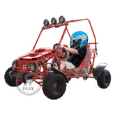 125CC Off Road Go Kart Buggy For Kids