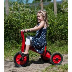 Metal Tricycle with pedal - MGA STAR MARKETING