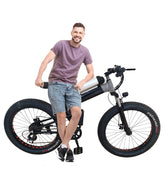 Fat Electric Bike