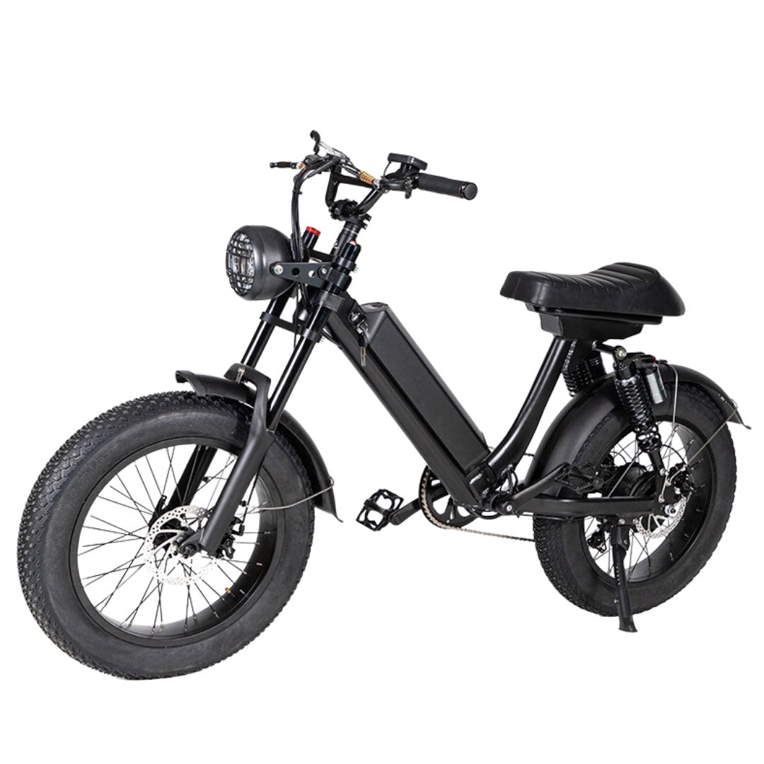 Electric Fat tyre Bike 48 v  with lights pedal and removable battery- Black