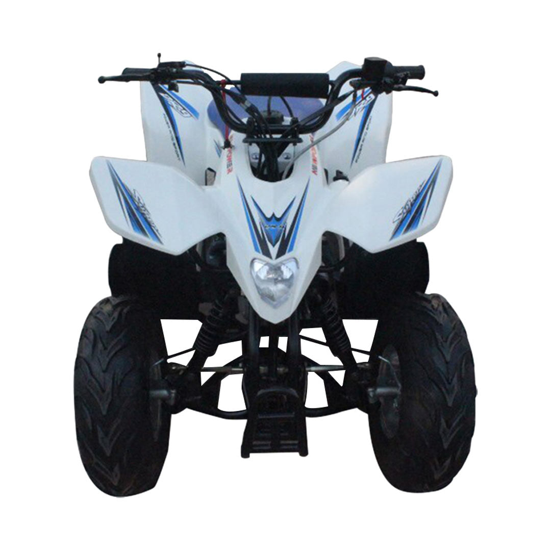 عجلات ميجا ATV رباعية الدراجة على الطرق الوعرة 200CC Beast أوتوماتيكية بالكامل