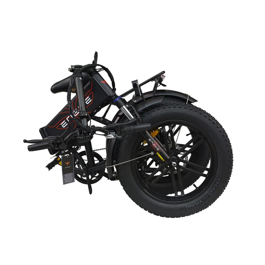 Electric Fat Mountain Bike