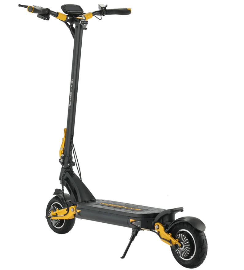 Scooter Electric