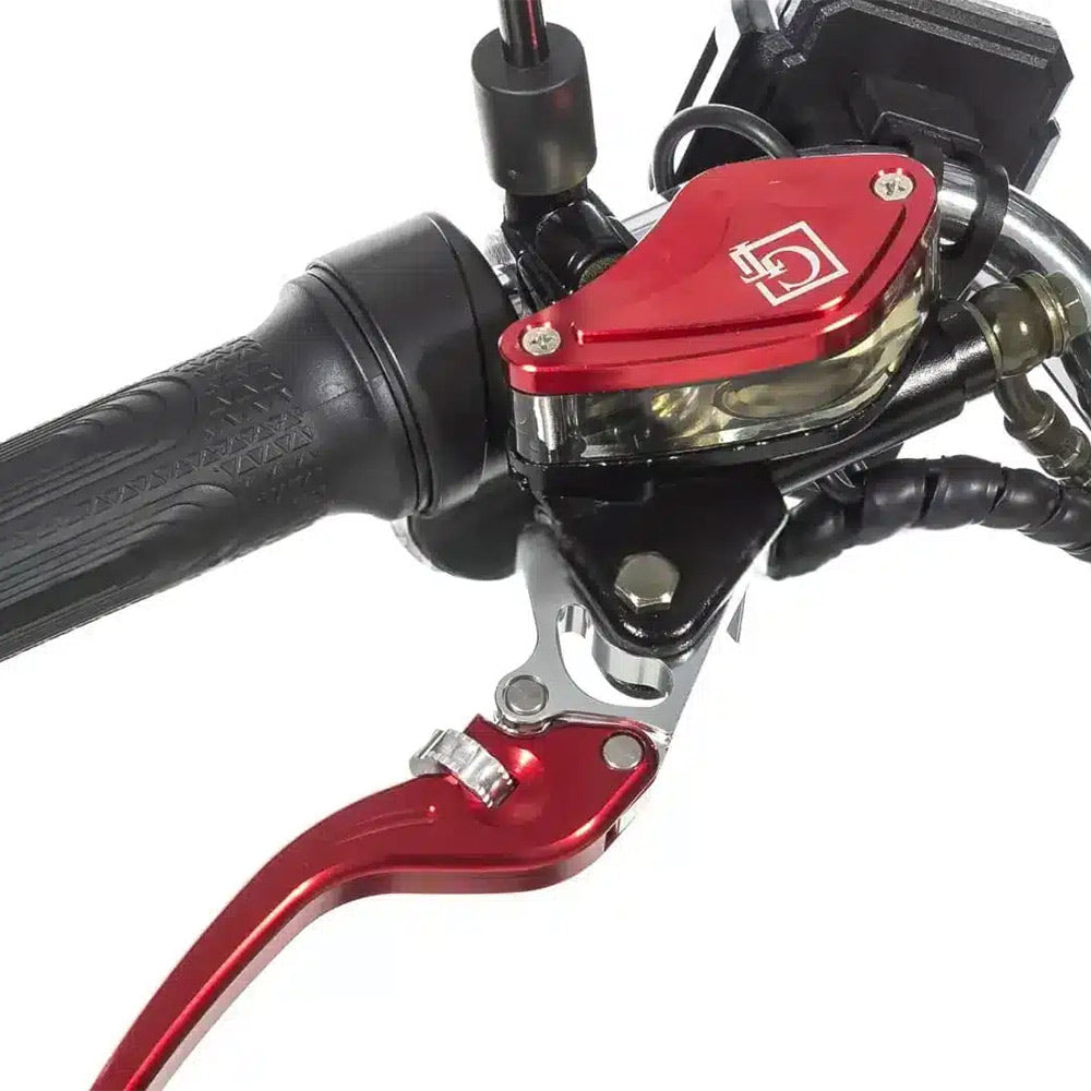 Kugoo Electric Fat Tyre Harley Scooter 3000 W Motor Power 2 Wheel off Road Scooter for Adults at Rafplay