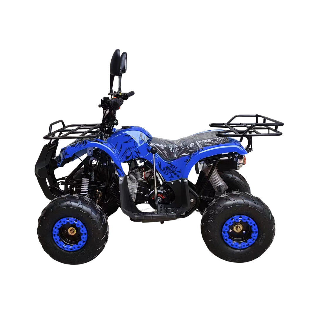 ATV Quad Off road 125CC Warrior Powerwheels Bike Automatic With Reverse