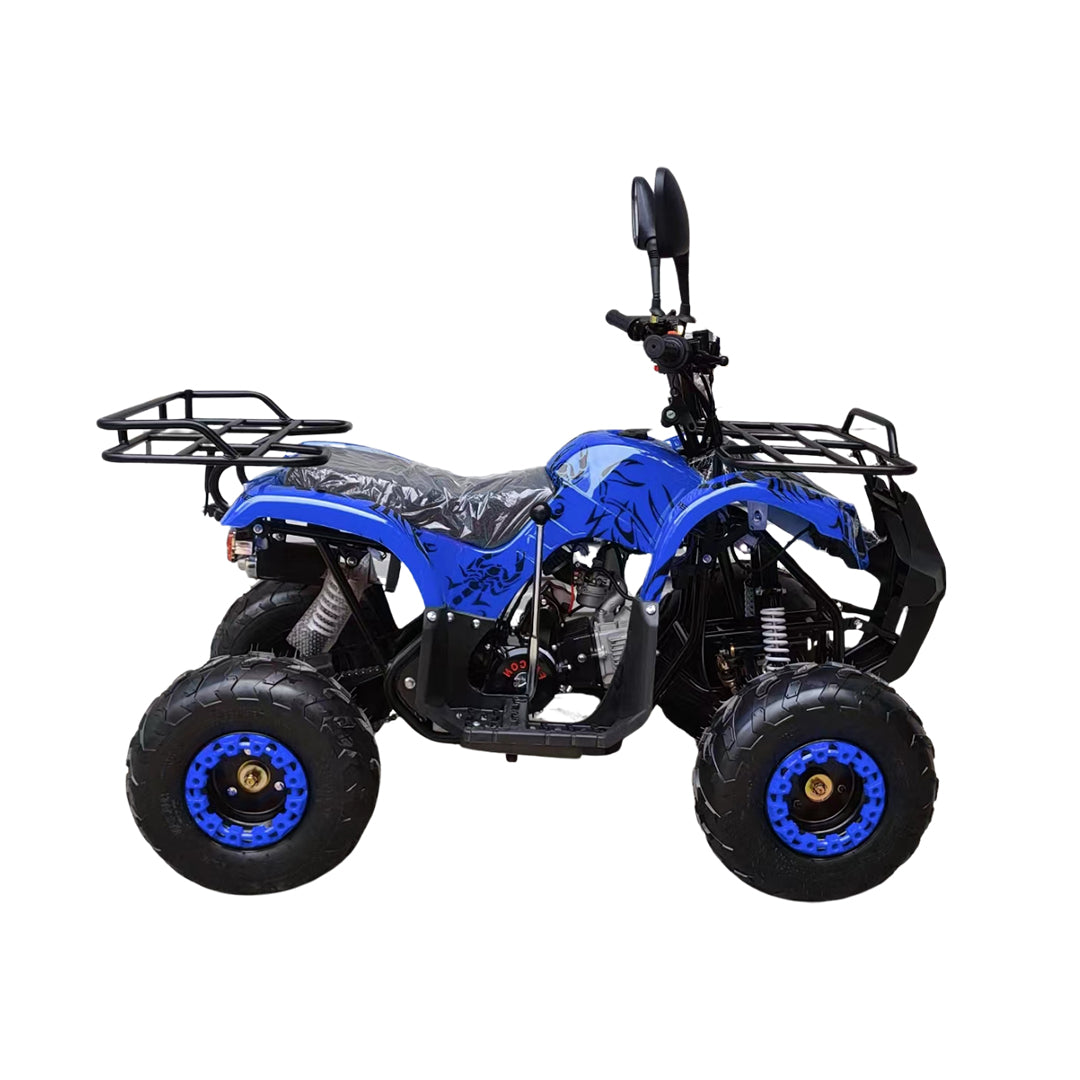 ATV Quad Off road 125CC Warrior Powerwheels Bike Automatic With Reverse