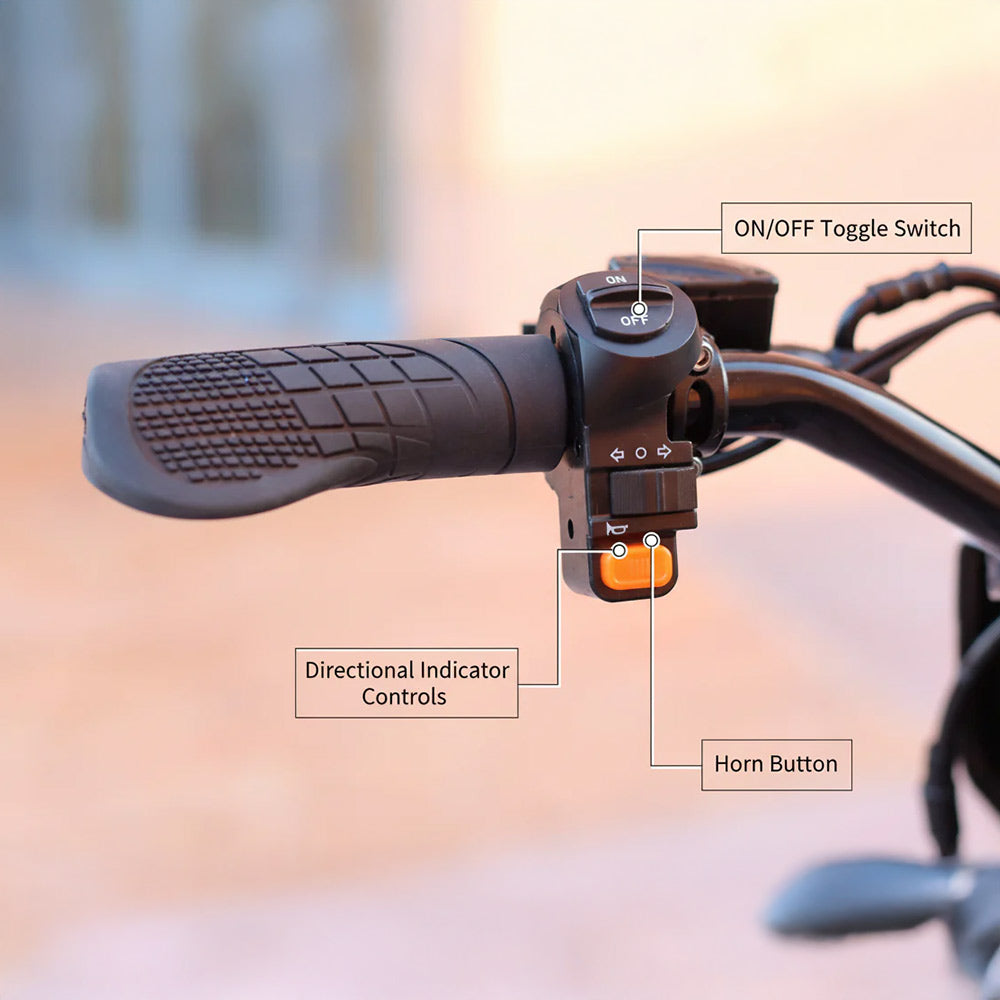 Close-up of a motorcycle handlebar with labelled controls