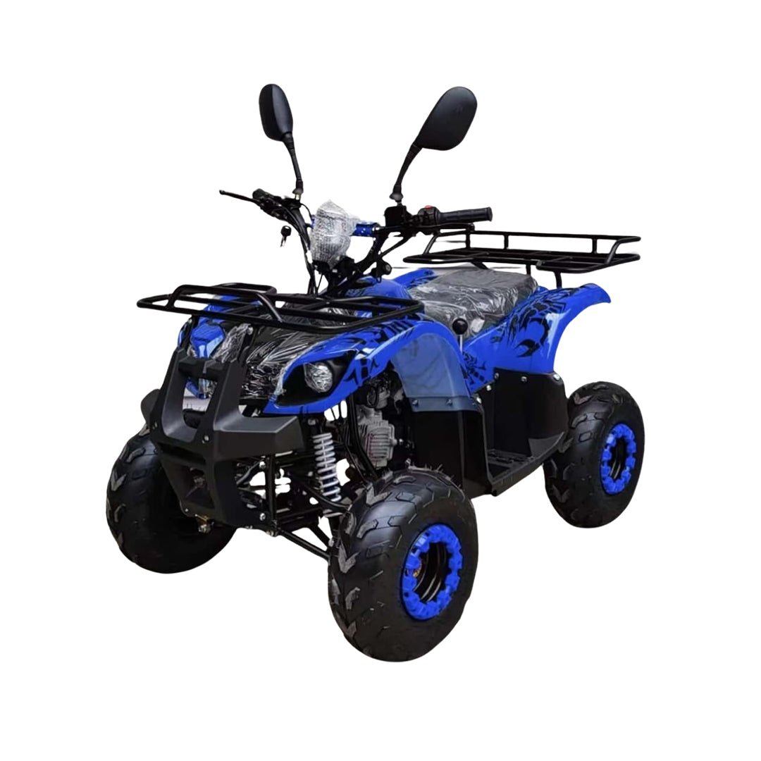 ATV Quad Off road 125CC Warrior Powerwheels Bike Automatic With Reverse