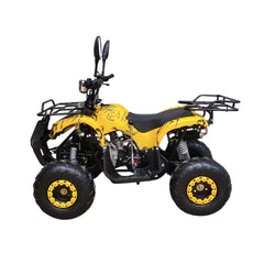 ATV Quad Off road 125CC Warrior Powerwheels Bike Automatic With Reverse