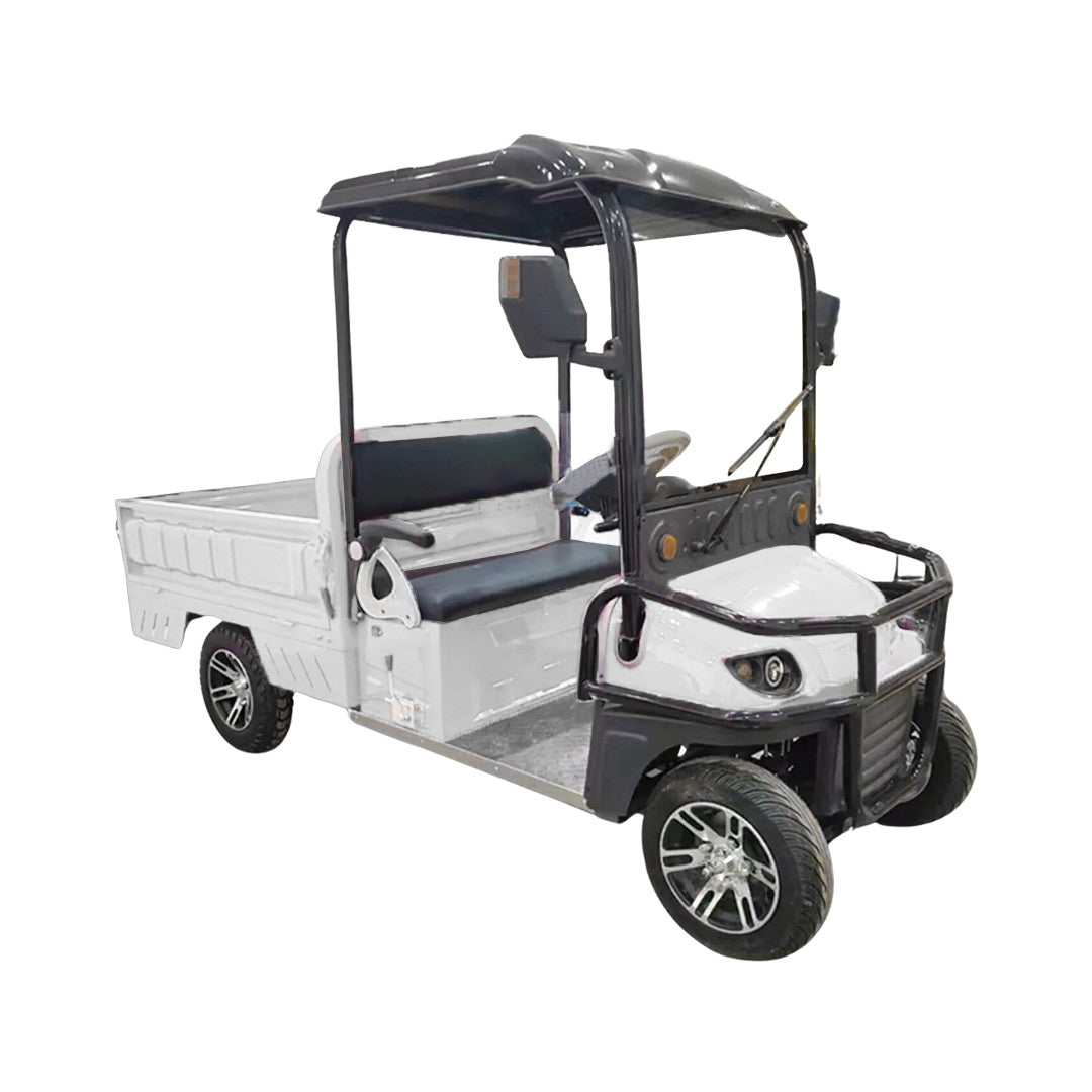 Megawheels Cruisemaster Golf Cart 2 Seater With Long Cargo Utility Box 60 V