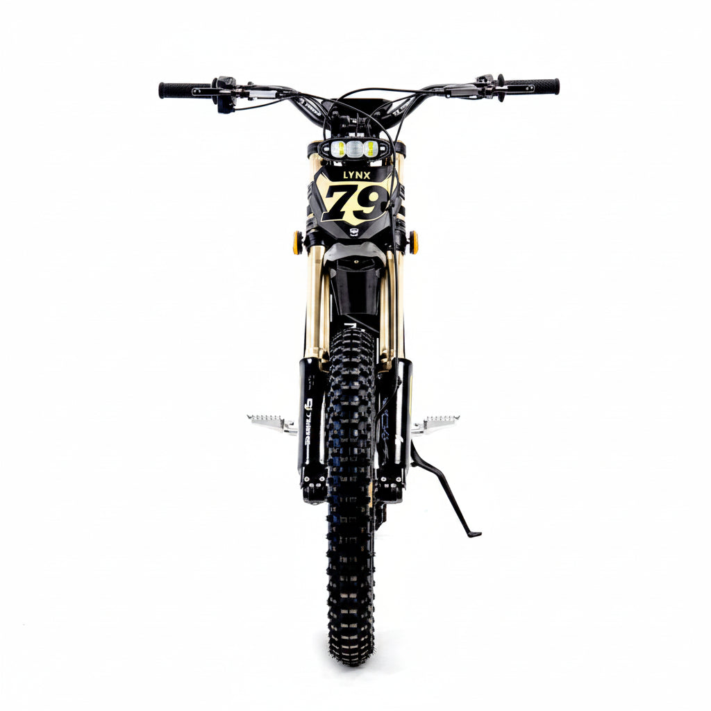 Black  Lynx off road desert electric Motorcycle
