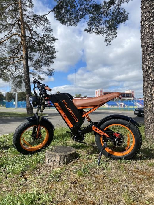 Kugoo Electric Scooter