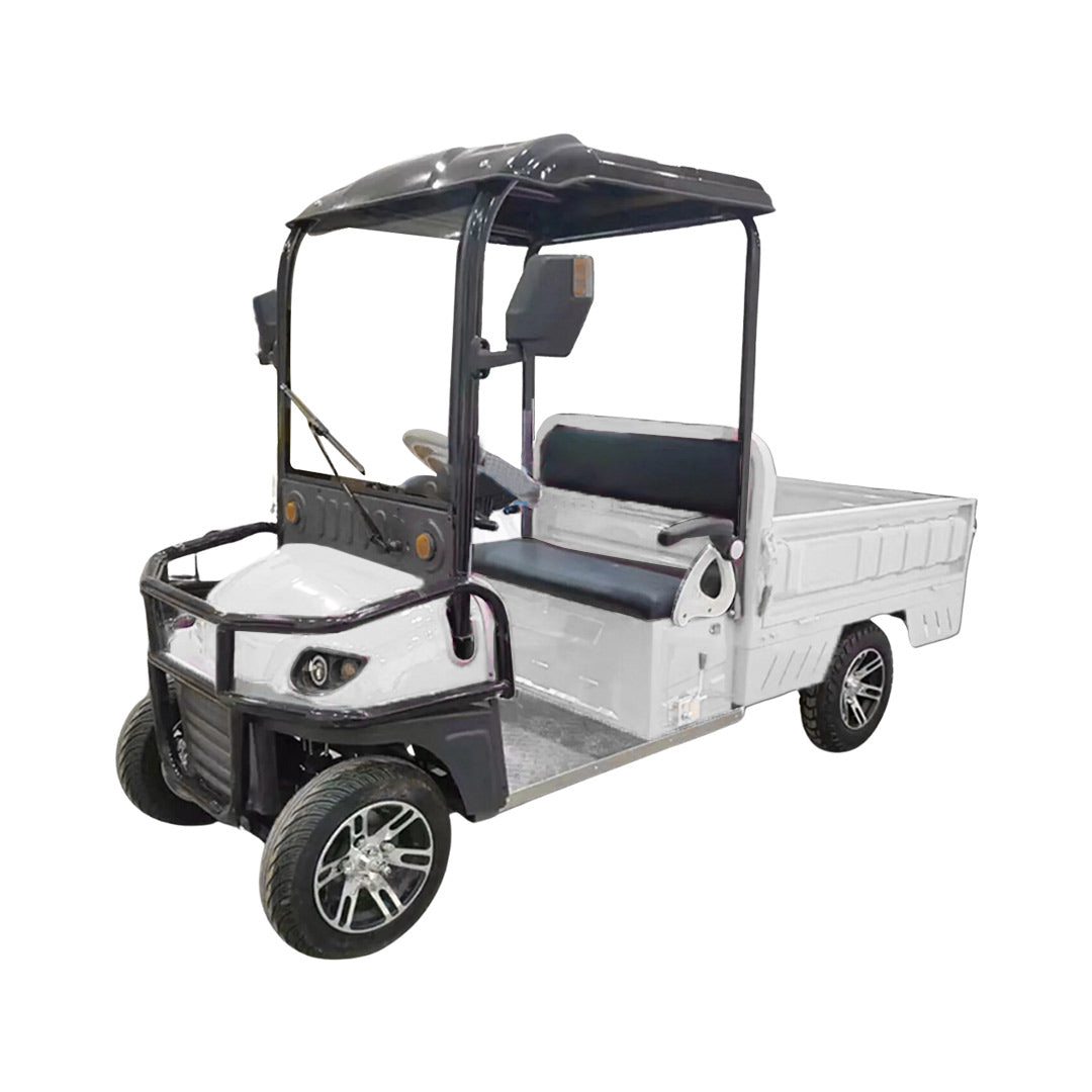 Megawheels Cruisemaster Golf Cart 2 Seater With Long Cargo Utility Box 60 V