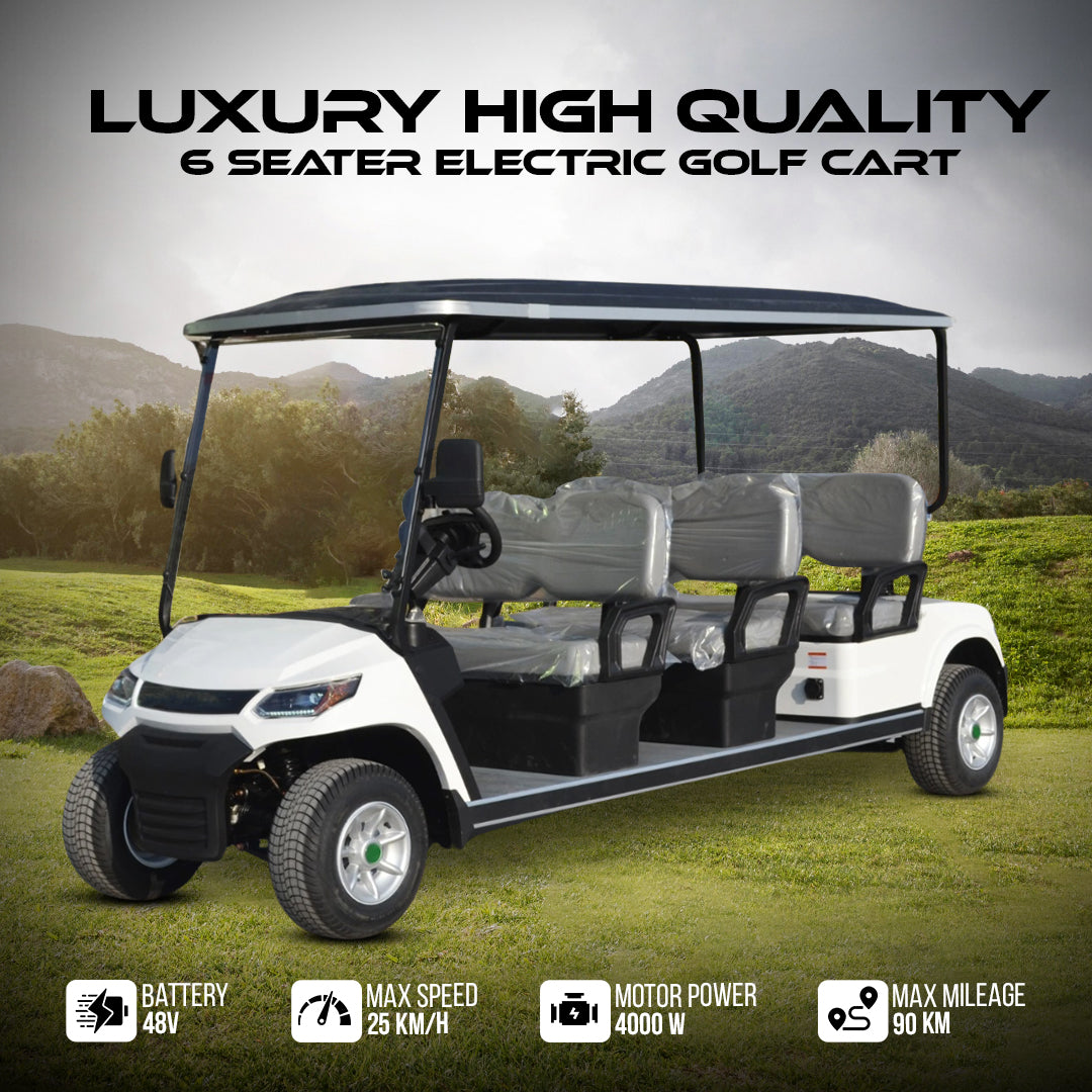 Megawheels Ecar LVT Electric Golf Cart 6 Seater