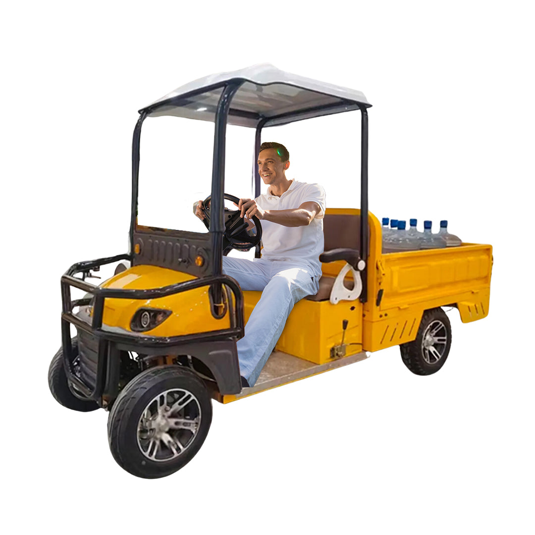 Megawheels Cruisemaster Golf Cart 2 Seater With Long Cargo Utility Box 60 V