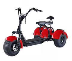 RAF Coco Harley 3 Wheels Electric Scooter Velocipede Trike