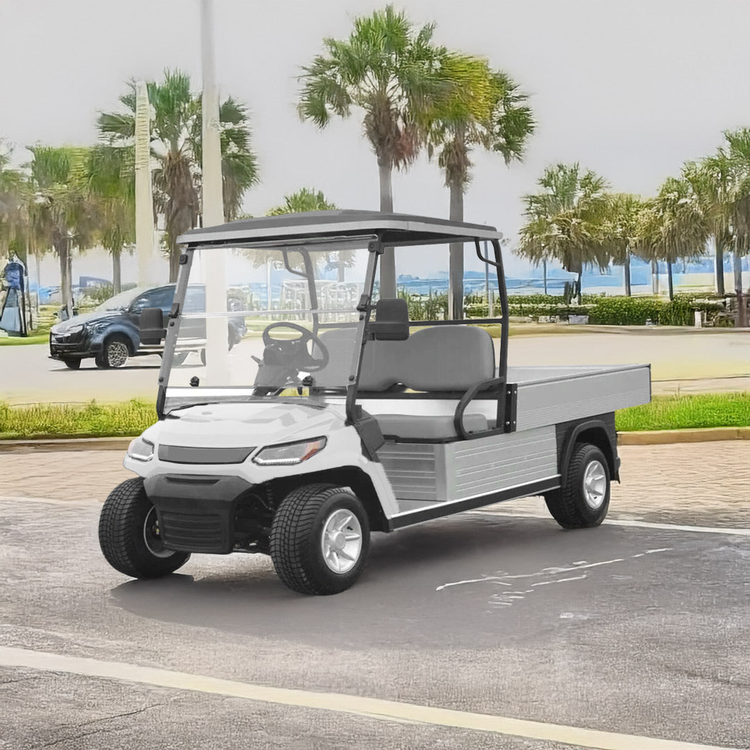 Megawheels Lvt Electric Golf Cart 2 Seats + Long Cargo box