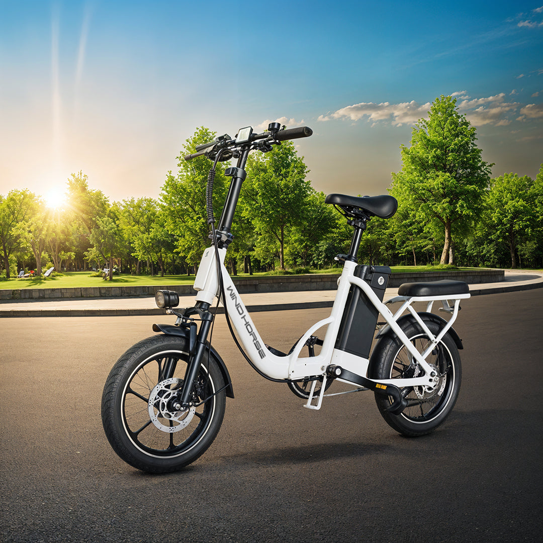 Megawheels Windstorm Carbon Alloy Foldable Ebike 48 v