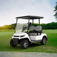 Megawheels LVT Electric Golf Cart Buggy 2-Seater Experience