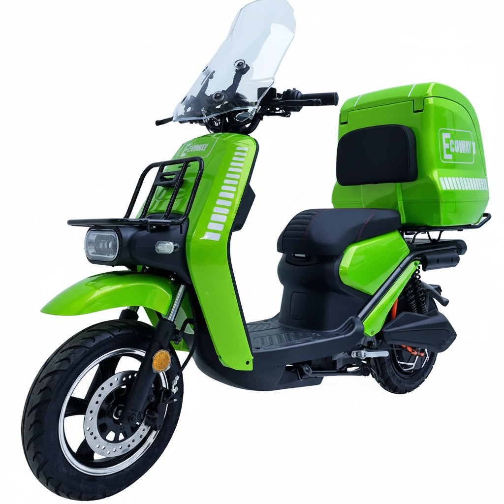 Best and Safe Green EcoWay Electric Bike For Delivery