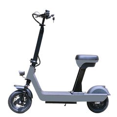 Fox Road Foldable Runner Electric Scooter 