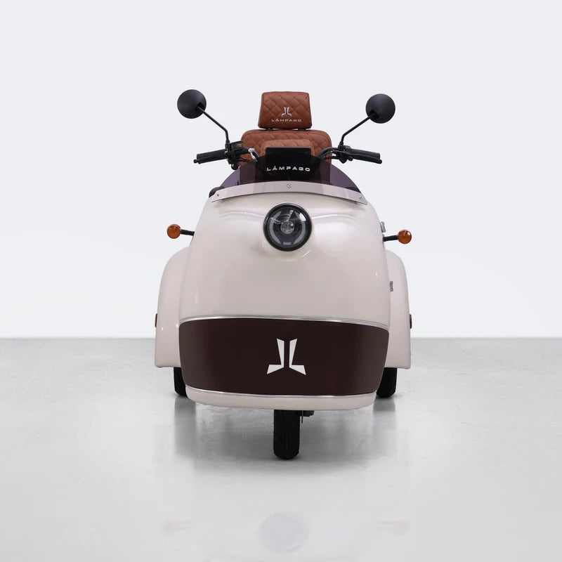 Comfortable Electric Scooter with Leather Backrest