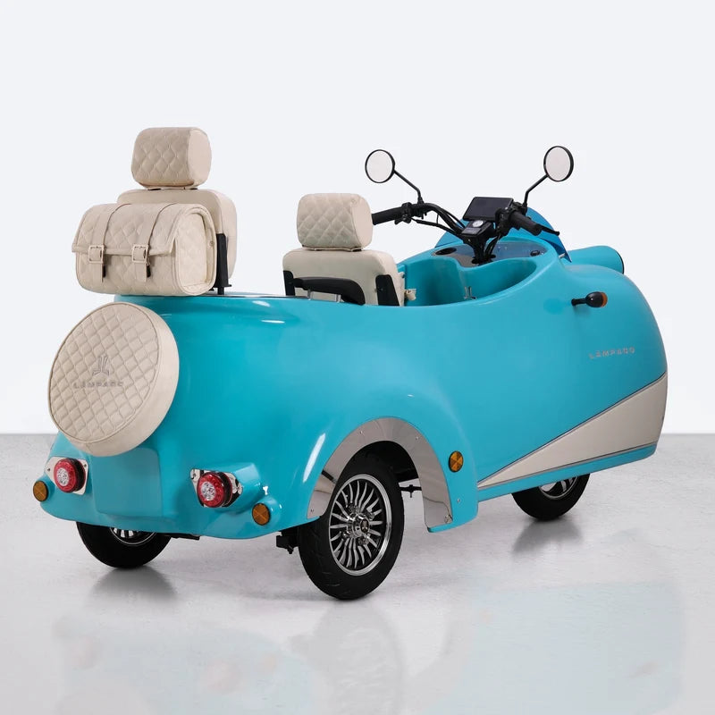 Comfortable Electric Scooter with Leather Backrest