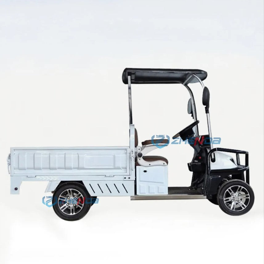 Megawheels Cruisemaster Golf Cart 2 Seater With Long Cargo Utility Box 60 V