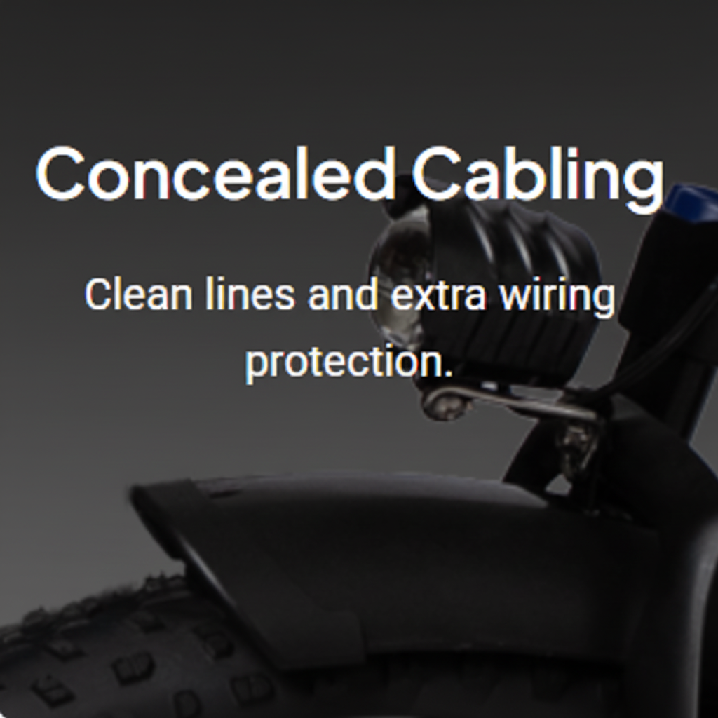 Motorcycle with 'Concealed Cabling' 
