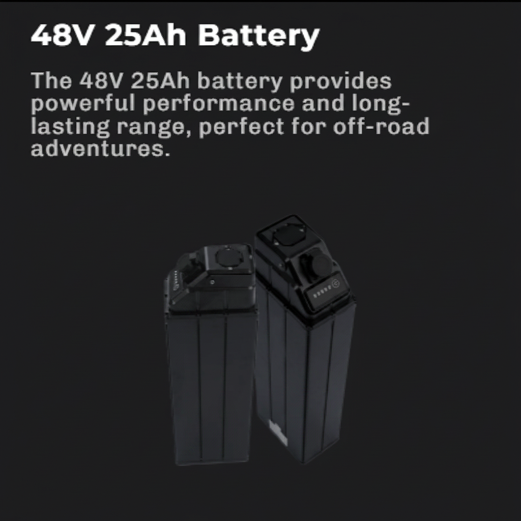 Viper S Electric Pit Bike 48V 25Ah battery 