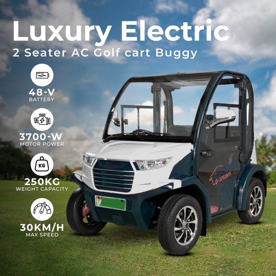 Megawheels Luxury Electric A.C Golf Cart Golf Buggy 2 Seater for Sightseeing