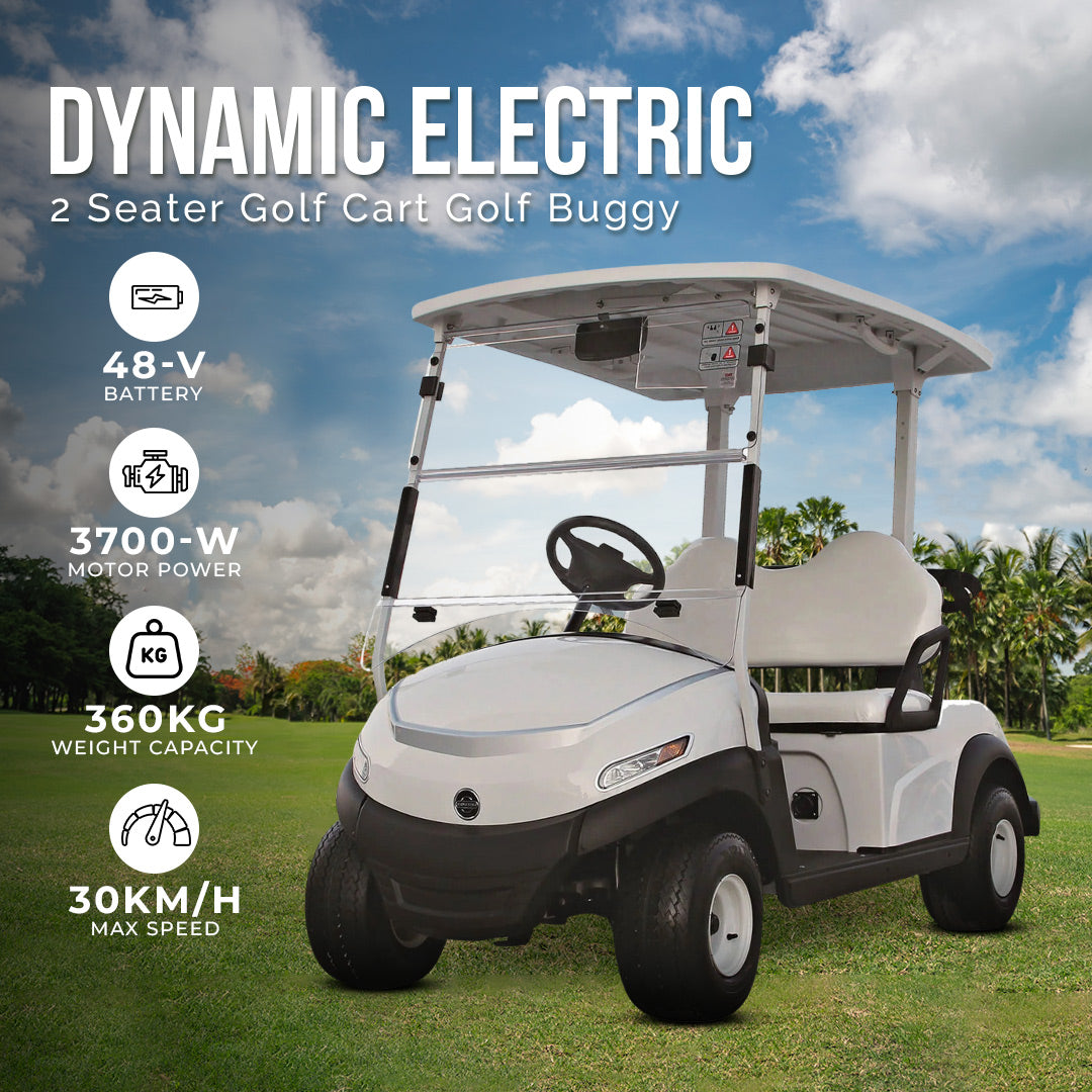Megawheels Dynamic Electric Golf Cart Golf Buggy 2 Seater for Sightseeing