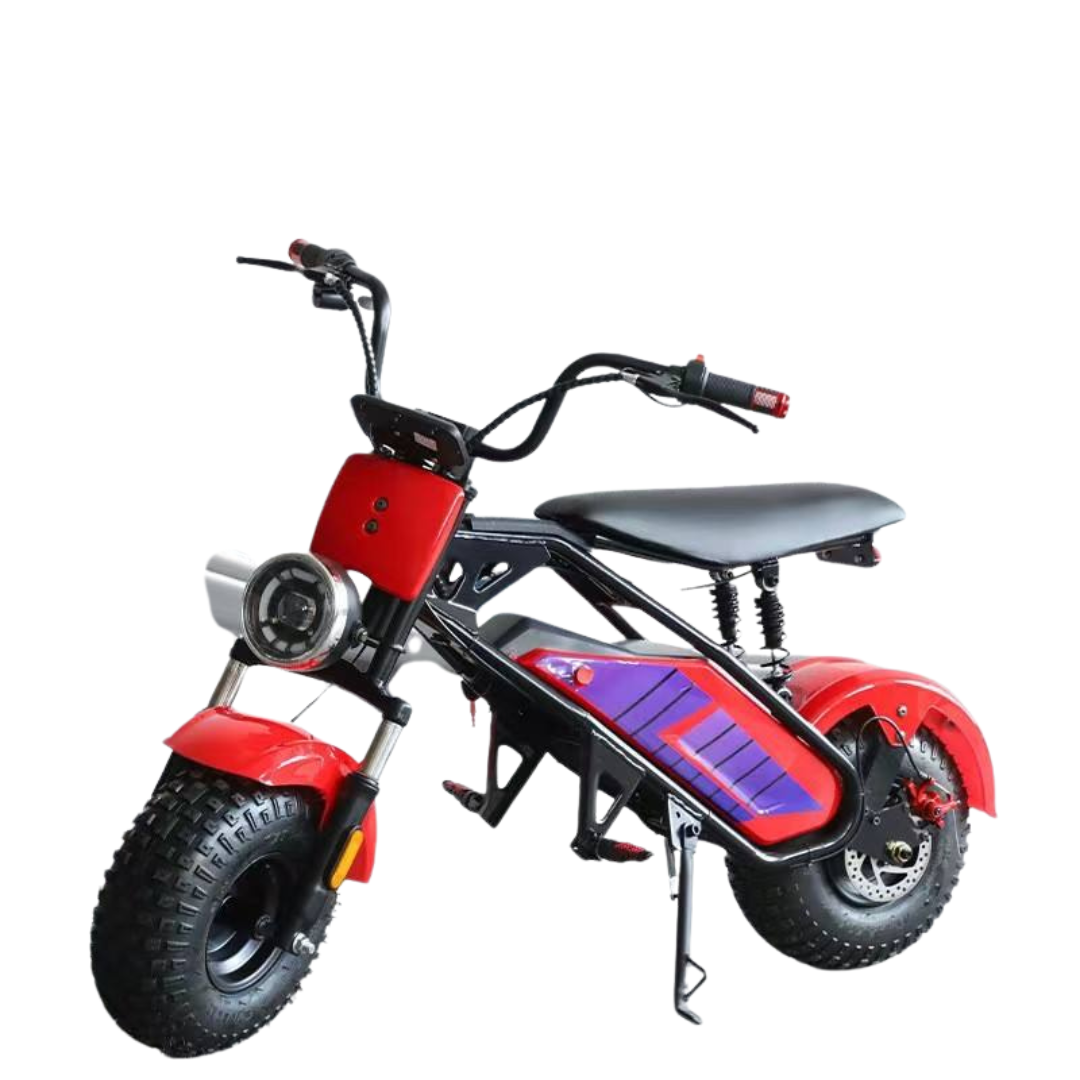 Electric Scooters