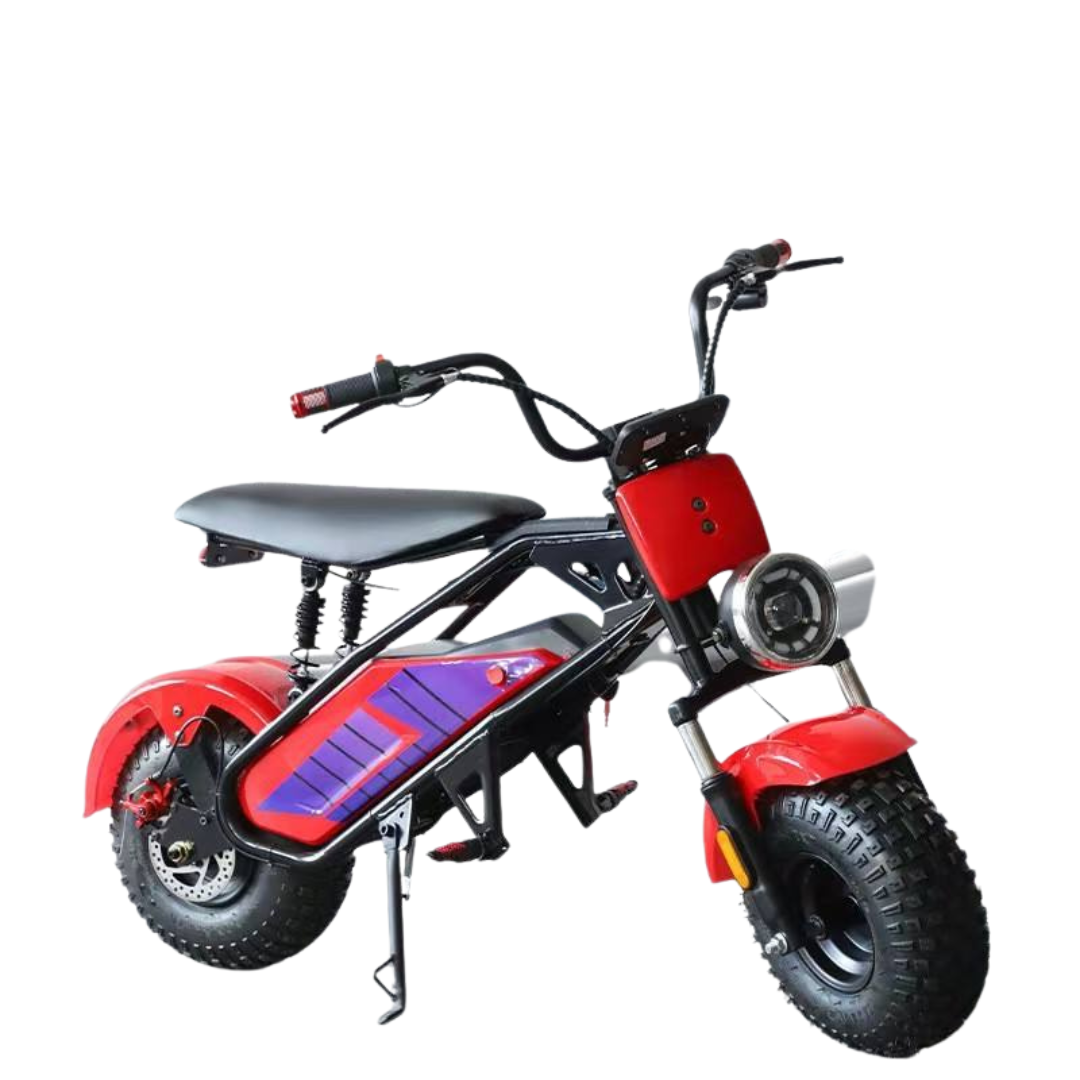 Scooter Electricr