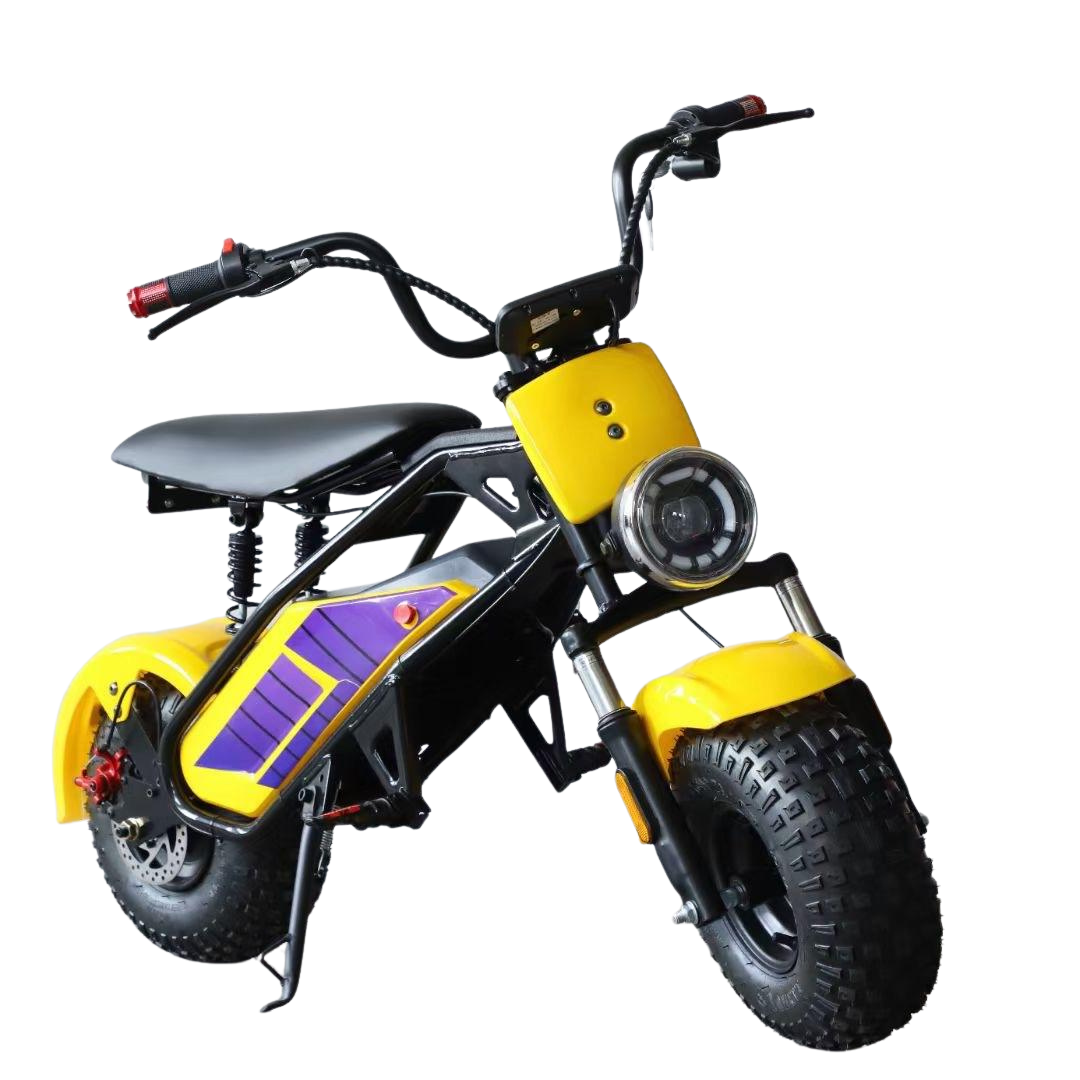 Electric Scooter With off Road Tyres