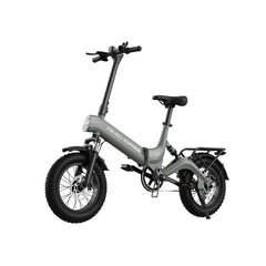 Electric Scooter WINDHORSE WAVE W1