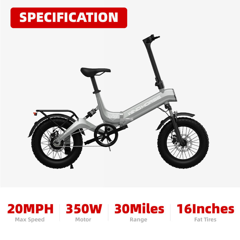 Electric Scooter WINDHORSE WAVE W1