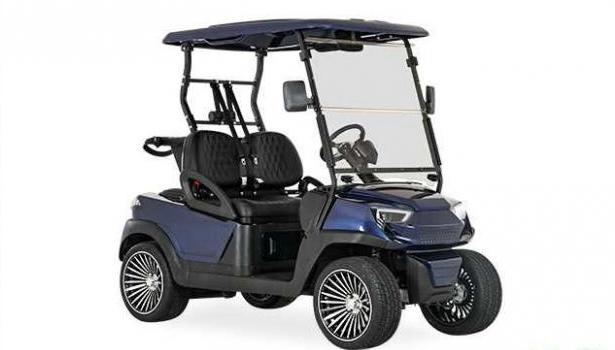 Royal Electric Golf Cart'