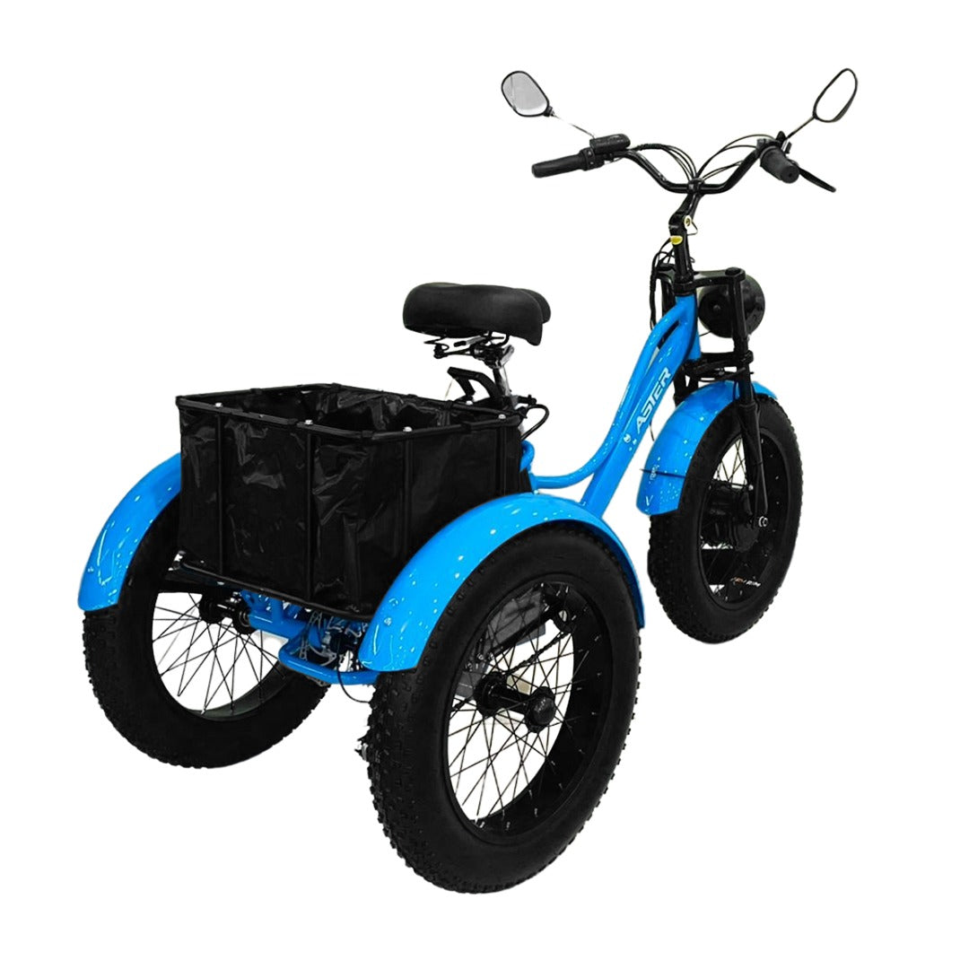 Electric Trike Fat Tire 3 Wheel Electric Tricycle Wheels Adult Cargo Electric Bike With Basket 24-Inch